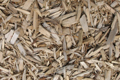 biomass boilers Stirtloe